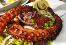 Amazing Recipes for West Australian Octopus Amazing Recipes Octopus